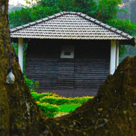 Muccole Stay Napoklu Bagian luar foto